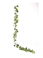 English Ivy groen 180cm